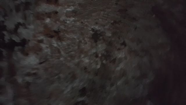 1000006952.mp4