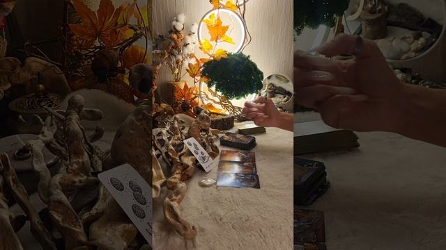 ПОДСКАЗКИ ВСЕЛЕННОЙ. 2 вариант. Расклад на неделю. #44 выпуск