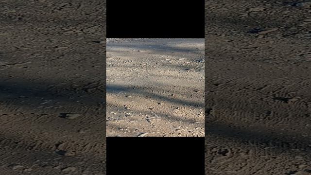 Рой на отдыхе в горах
