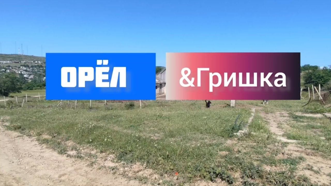 Орёл &Гришка - Плодовое