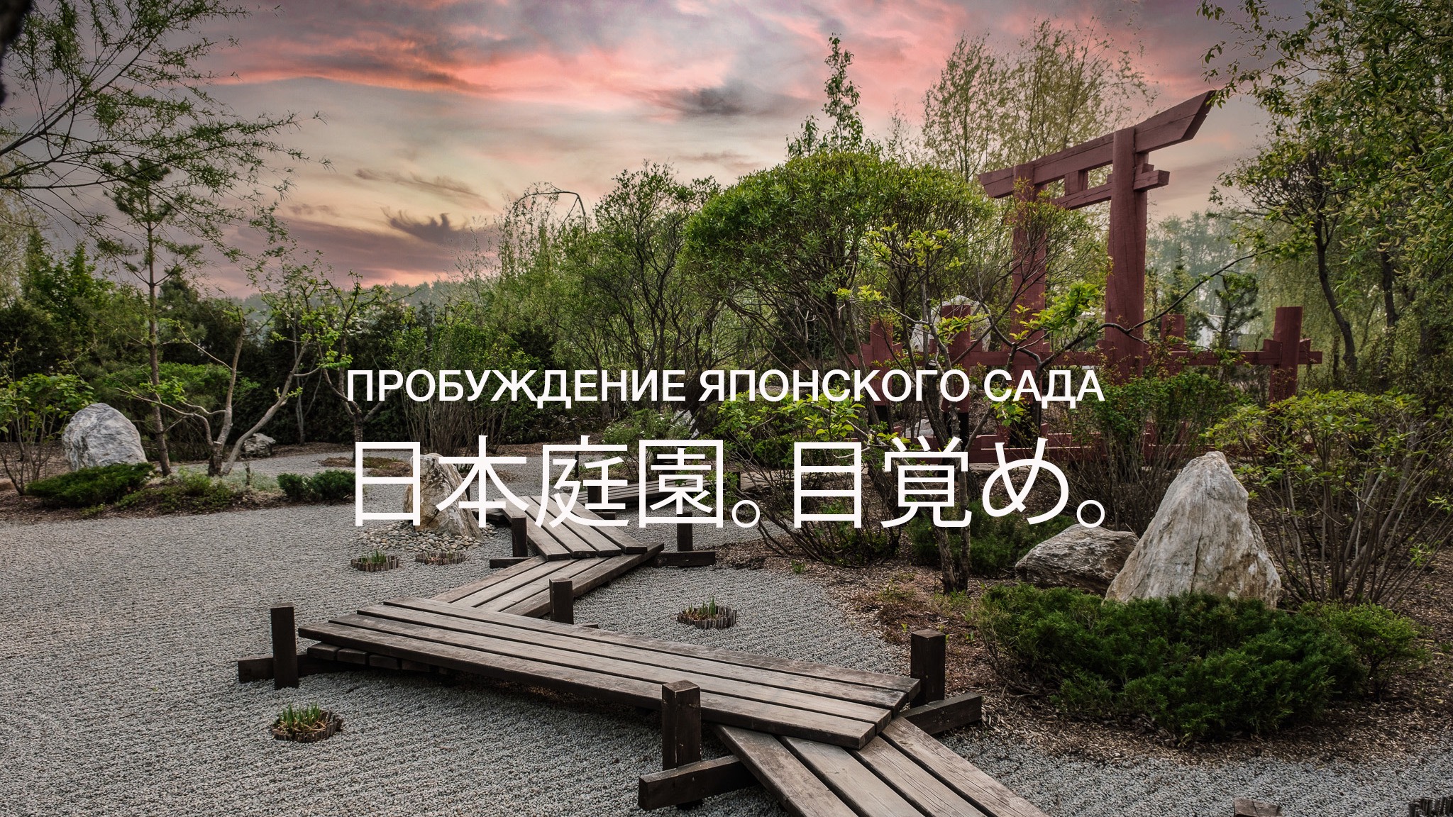 ЯПОНСКИЙ САД. ПРОБУЖДЕНИЕ. Выставка фотографии.