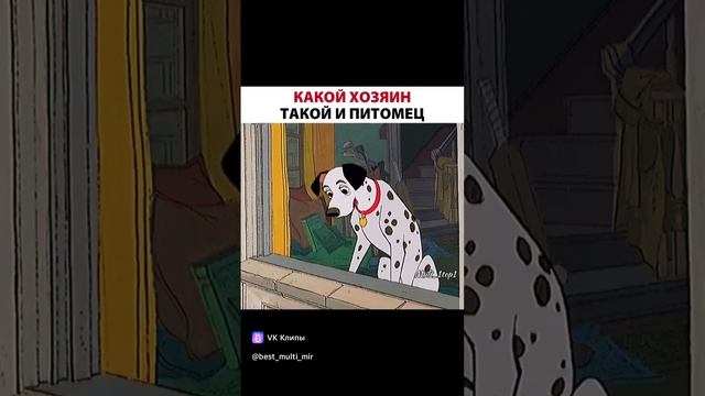 какой хозяин такой и питомец