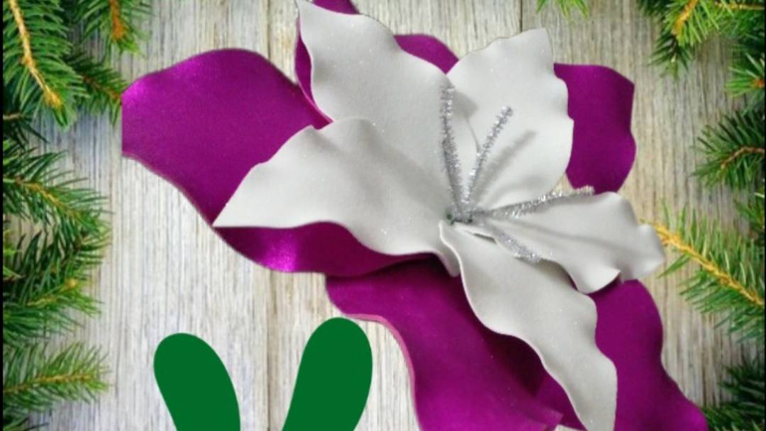Новогодние цветы#Новогодниецветы#рождество