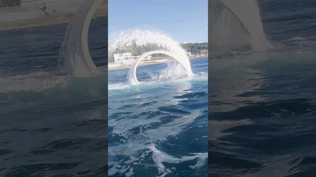 Ховерборд полет в Сочи 🚀🏄♂️