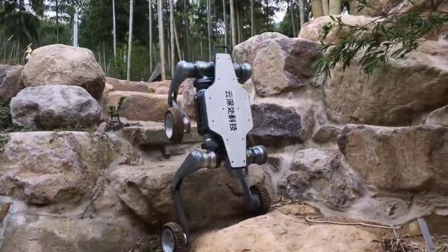 rapidsave_com_chinese_company_deep_robotics_announced_their_new