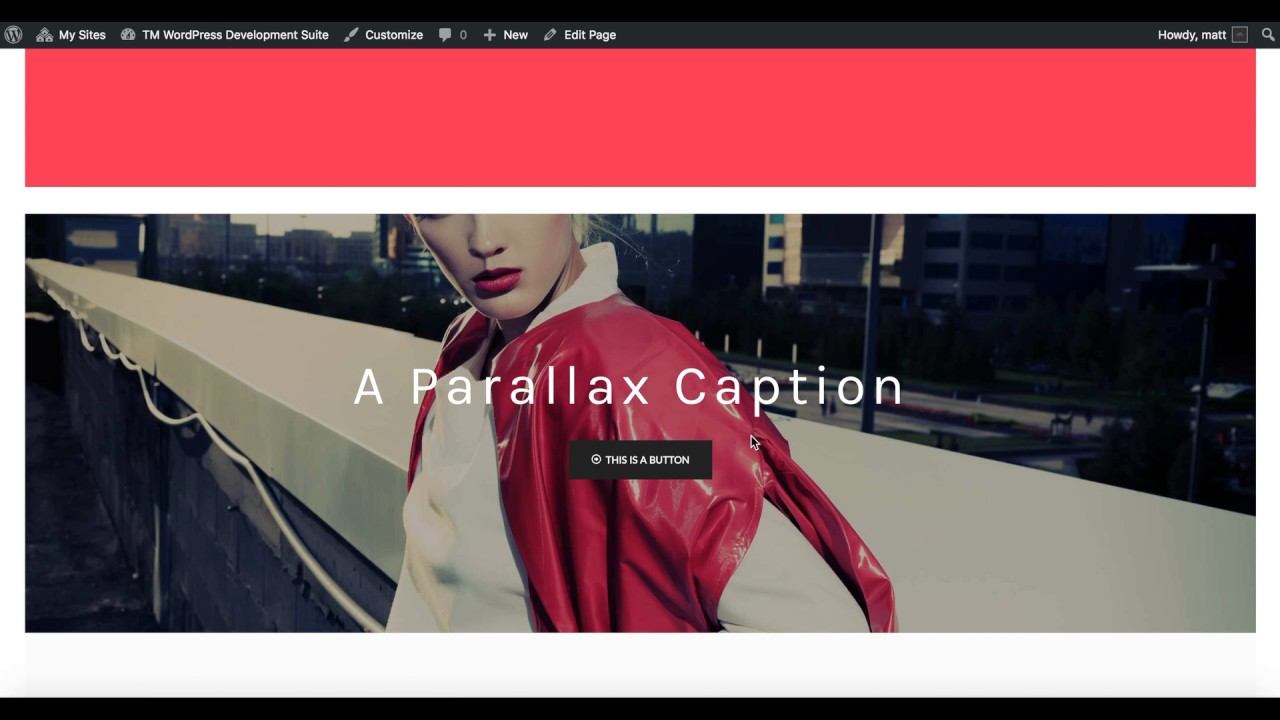 Snowbridge Parallax Part 2 - ThemeMountain WordPress