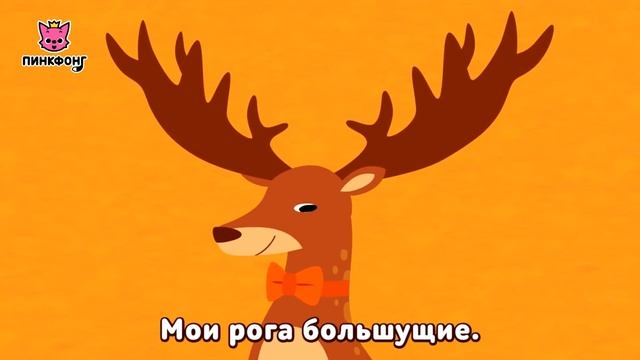 Стань Моей Женой _ Песни про Животных _ Пинкфонг на русском
