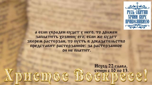 26 ноября Евангелие на Каждый День 💖🇷🇺