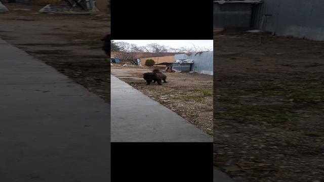1000033245.mp425.11.2024г.