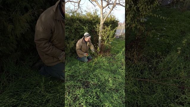 Зима закончилась - продолжаем осенние работы....