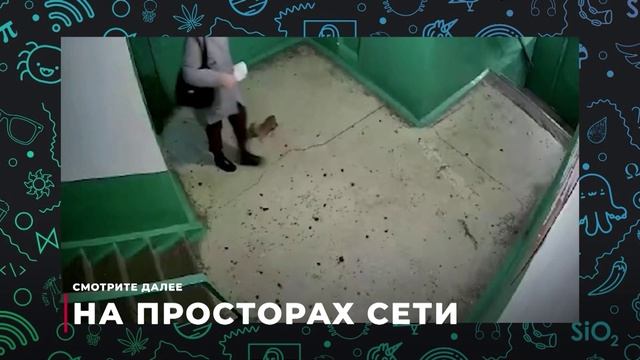 Выпуск новостей 25.11.2024