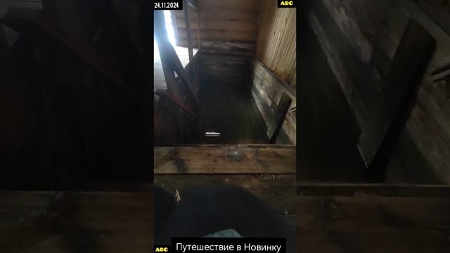 Путешествие в Новинку #бодрыйдедза65лет #мироша
