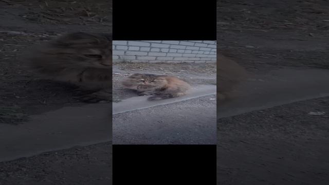 1000072130.mp4