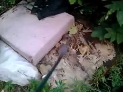 я бомж .на улице!!