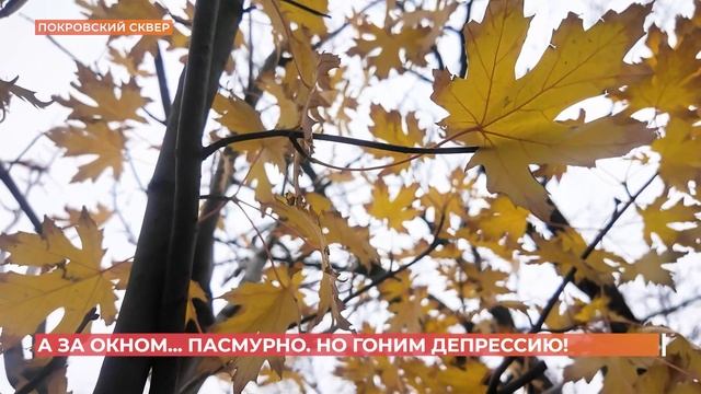 А за окном. 25 ноября 2024