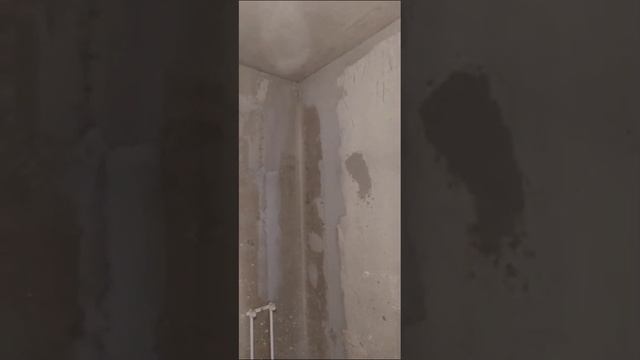 Квартира в новом, девятиэтажном доме