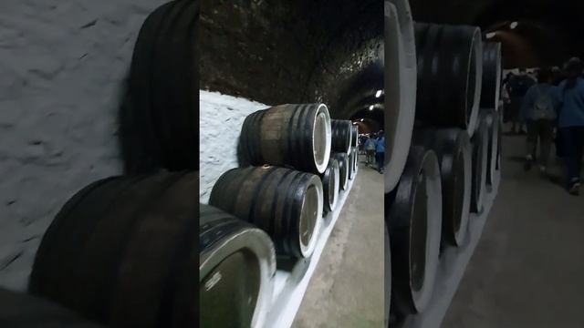 Дегустация в Солнечной Долине