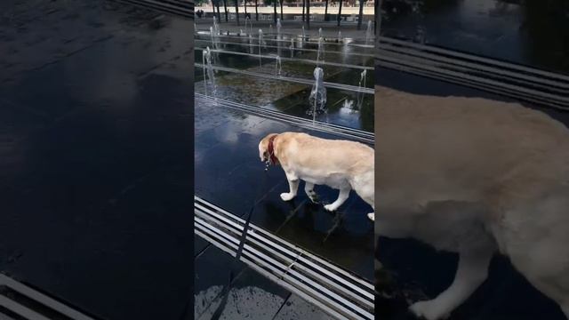 Император звёздных войн