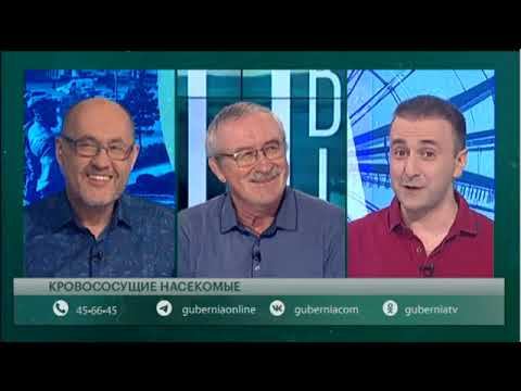 Интервью в программе "Говорит Губерния" старшего научного сотрудника ИВЭП ДВО РАН Д.К. Куренщикова