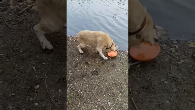 Похолодание нам не страшно