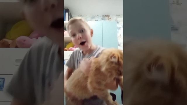моя жизнь