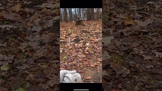 ДИАНА. ОТЗЫВ КВЕСТ ПЕРЕХОД
