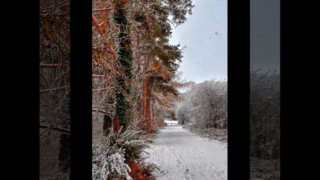 443.А тем временем -а северных землях.❄️