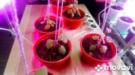 ✅МОЁ утро💃огурцы на ОКНЕ🥒в подарок ЩУКА🐬