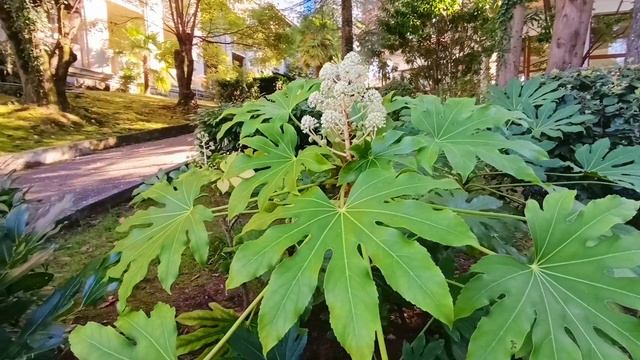 Осеннее буйство красок