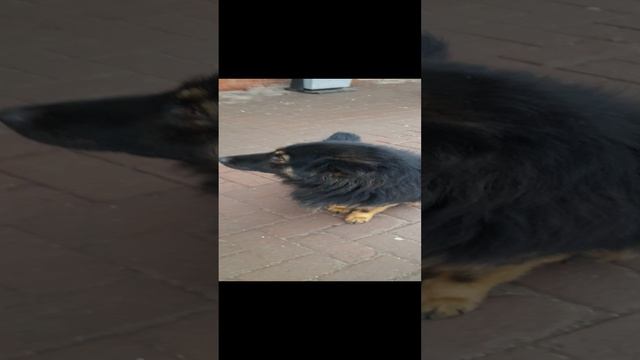 1000033247.mp425.11.2024г.