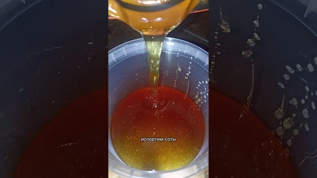 храним мëд в сотах