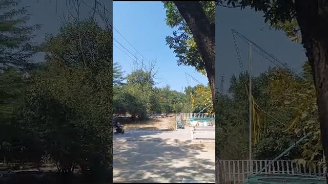 1000002955.mp4