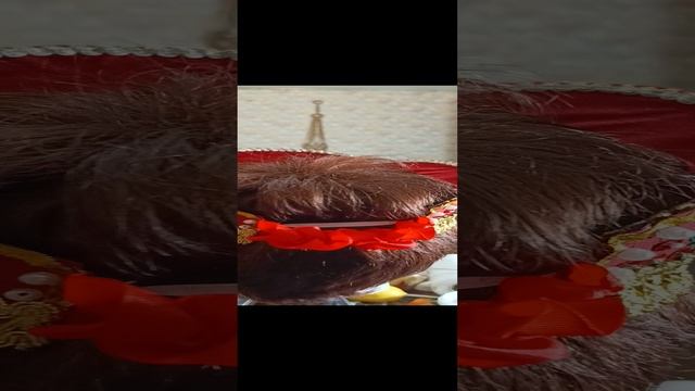 1000118705.mp4