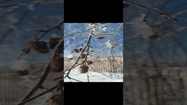 1007099942.mp4