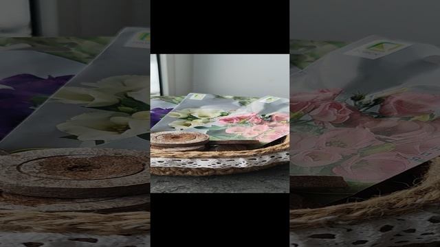Эустома. подготовка к посадке.