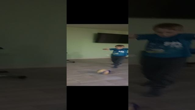 VID20241125184805.mp4