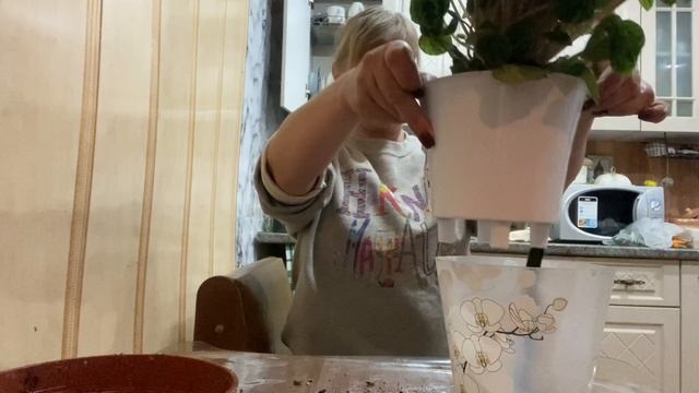 25-11-2024дом в наследство!!! Начались посадки ,новый классный цветок.