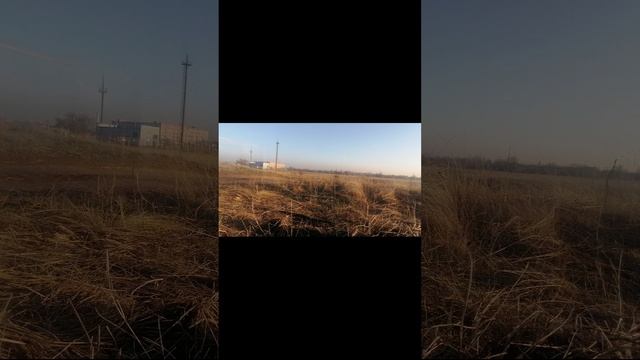 мотопрогулка
