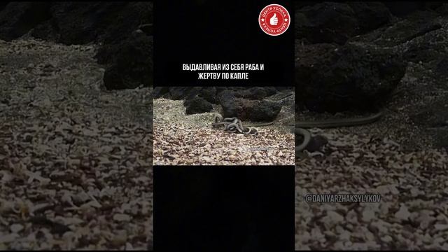 ОДИН В ПОЛЕ ВОИН 🗽
SEO: успех, достижение, достигатор, предприниматель, прорыв, бизнес, бизнесмен,