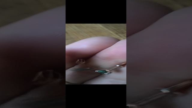 1000061496.mp4