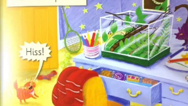 Jolly phonics books.  Pet Panic, group 2