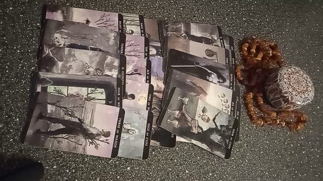 VID_20241125_163058.mp4