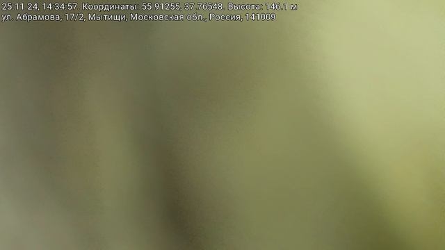 1000078810.mp4