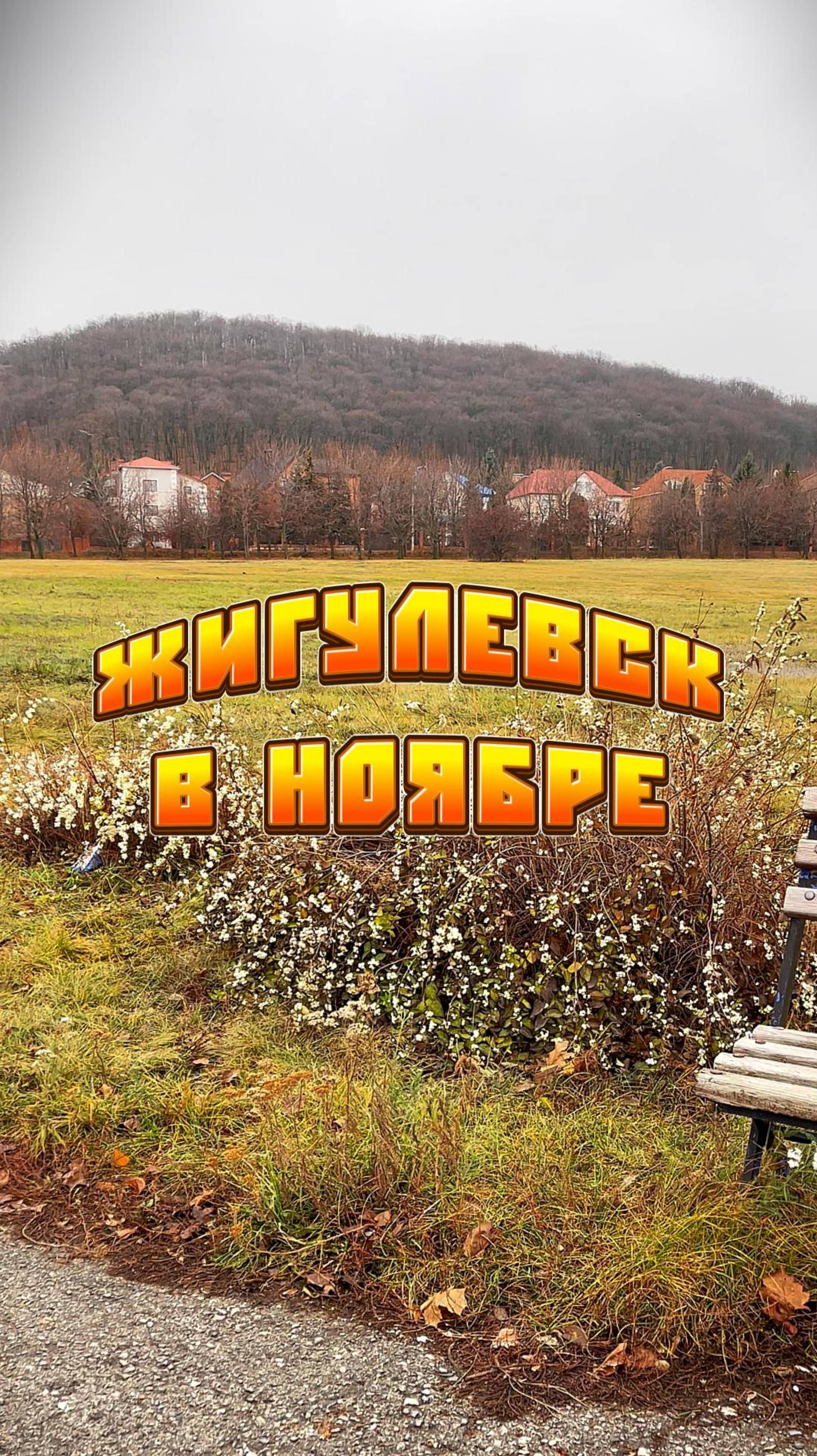 ЖИГУЛЕВСК В НОЯБРЕ