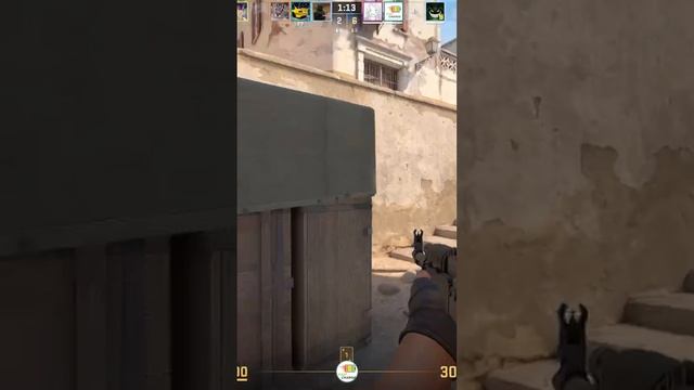Zeus24112507