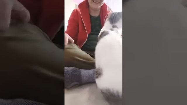 05 05 Лесик хочет домой
