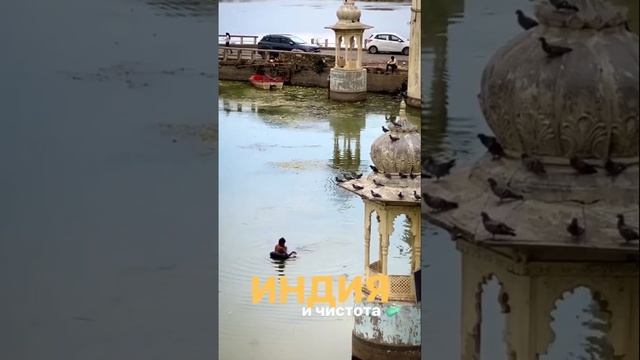 Чистота в Индии - щепетильная тема. Я люблю эту страну и знаю, что с каждым днем она становится чище