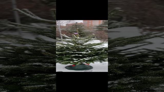 IMG_3043