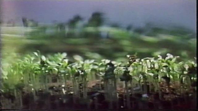 Песни весне (1975)