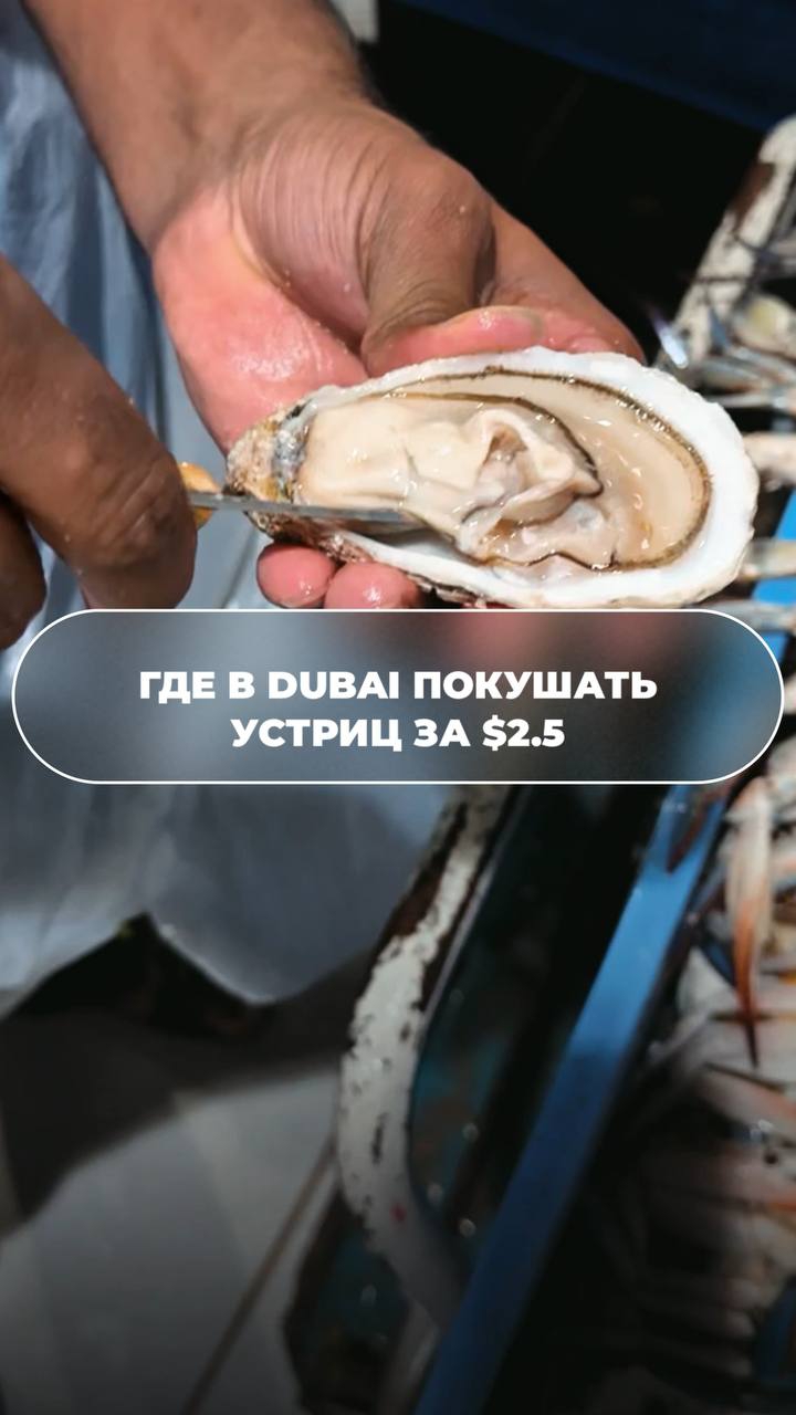 ГДЕ В DUBAI ПОКУШАТЬ УСТНИЦ ЗА 2,5 $